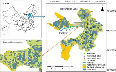 Spatial patterns of macrobenthos taxonomic and functional diversity throughout the ecotones from river to lake: A case study in Northern China